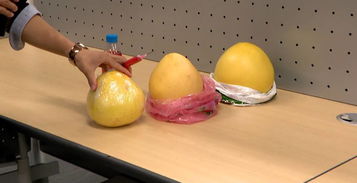 市场热卖的红心柚子竟然是色素染红 针管注射实验后......速看真相